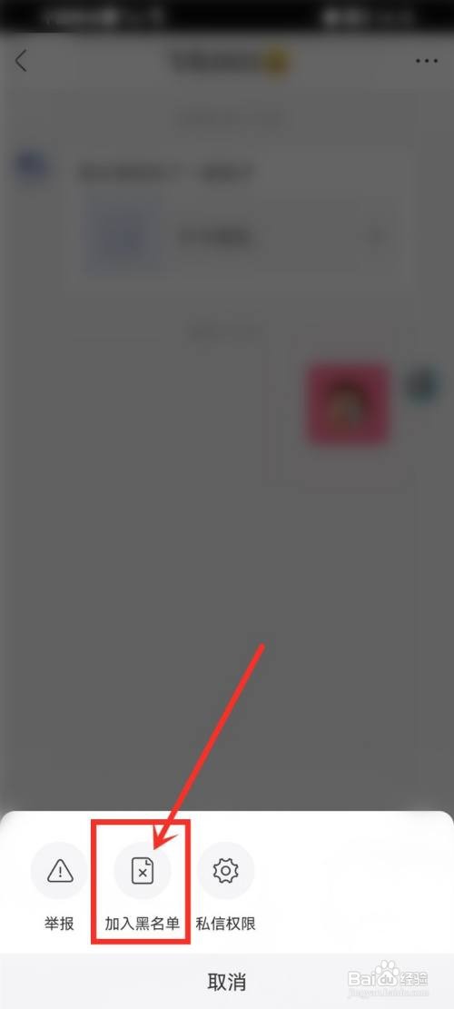 皮皮搞笑如何将陌生人私信加入黑名单