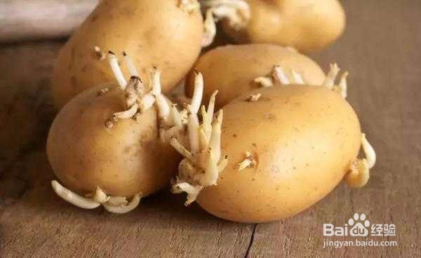 土豆的食用好处和禁忌