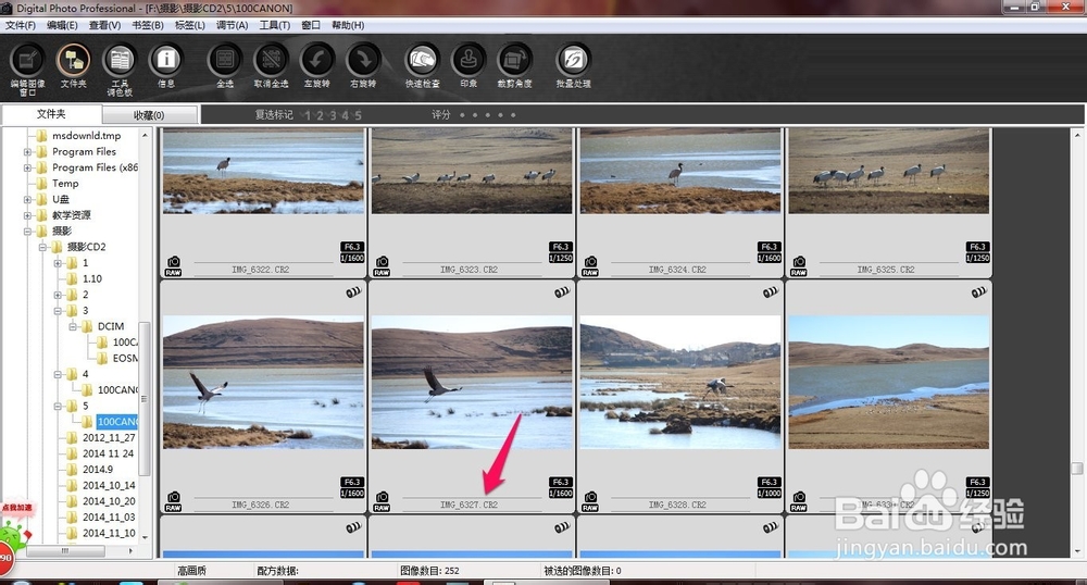 如何使用DPP软件处理cr2图片