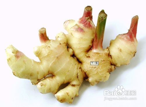 防脱发有什么窍门