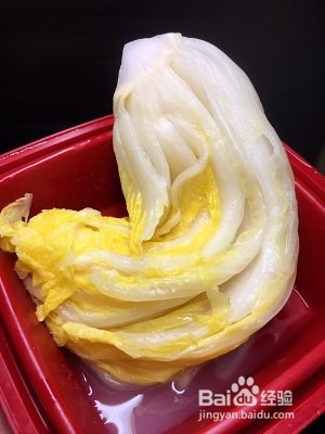 健康养生佳品羊肉酸菜粉丝煲的做法