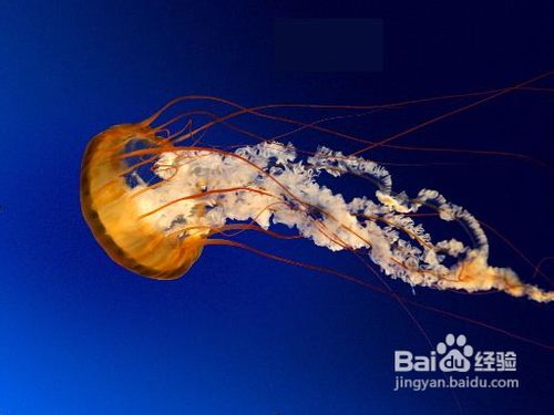 用picpick软件去除图片不一致颜色