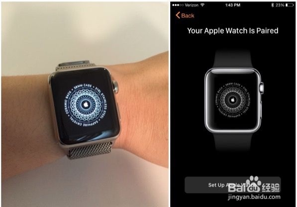 Apple Watch 设置详解 超详细教程(精品)