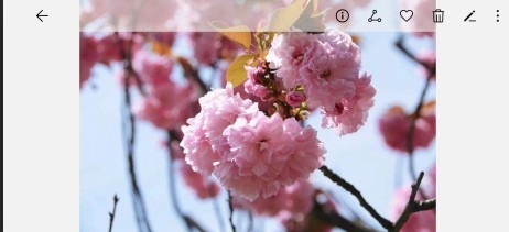 华为手机自动旋转功能如何开启？竖屏变横屏？