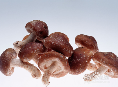 小柔推荐最强纤维食物，就是要瘦！瘦！瘦！