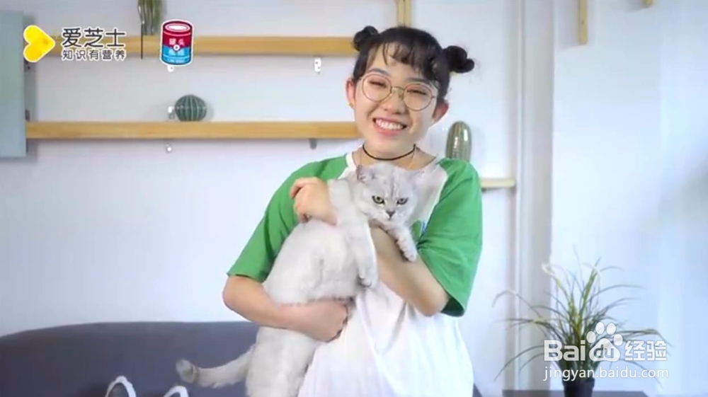 怎样抱猫咪最舒服