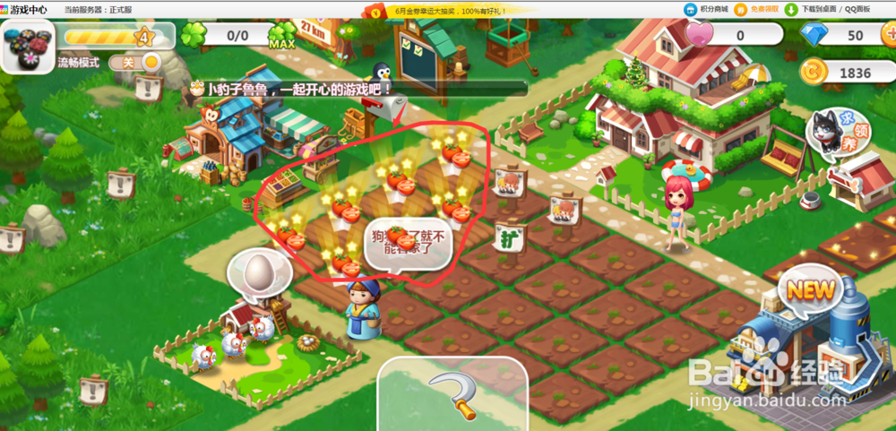 QQ农场怎样种西红柿？