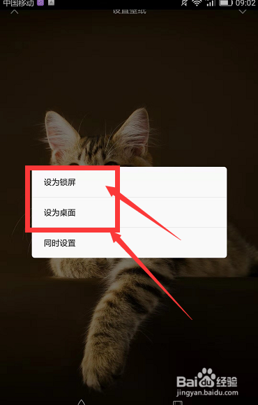 华为手机中如何将图片设置为桌面壁纸