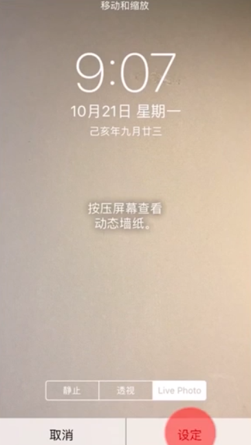 iPhone7怎么设置Livephoto动态壁纸