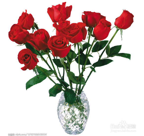 情人节过后玫瑰花的利用技巧