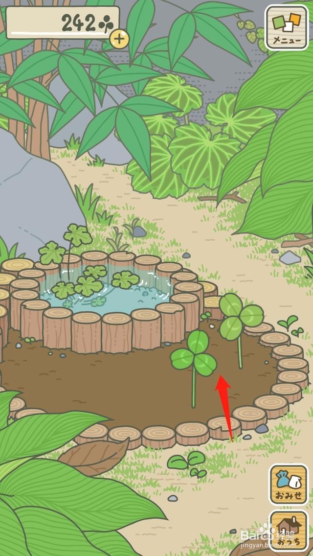 日本青蛙游戏攻略