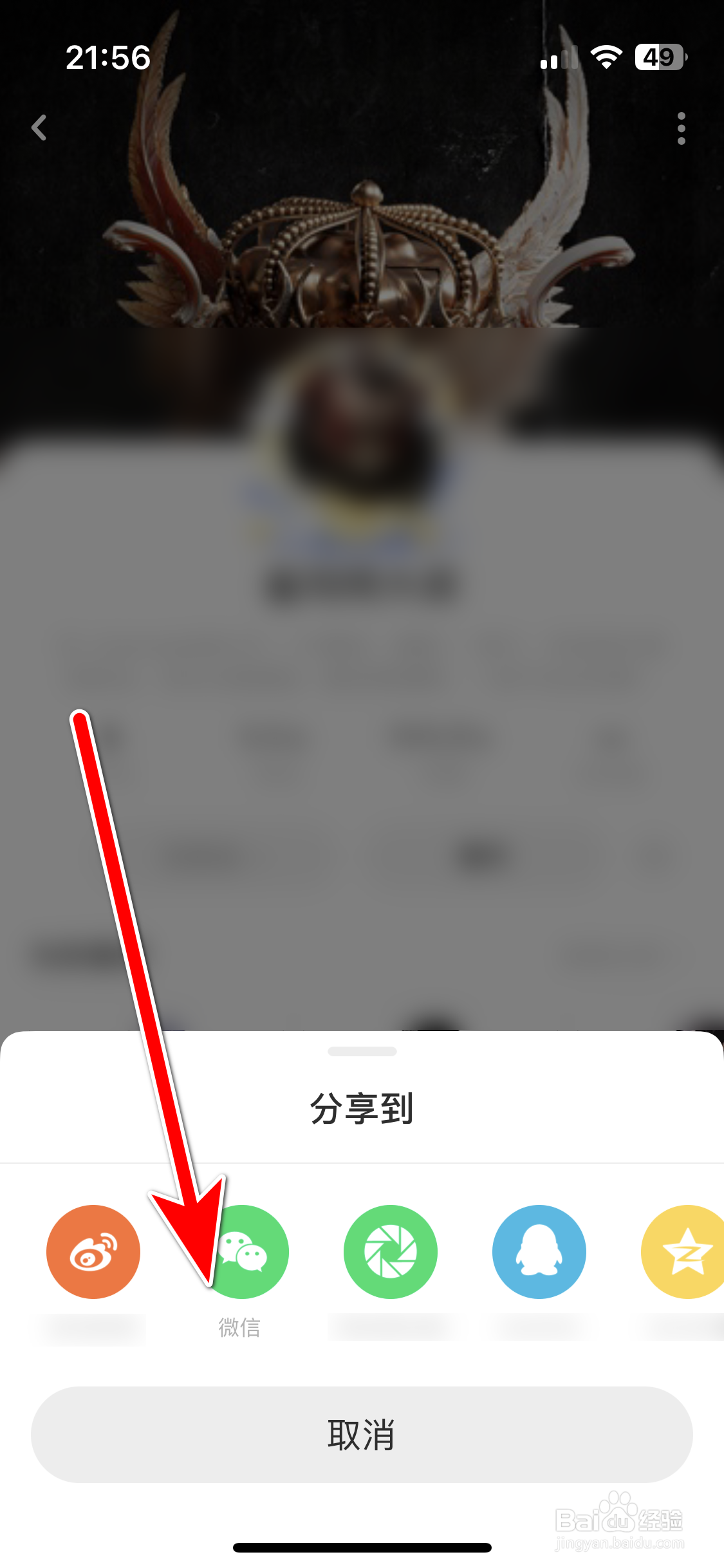 LOFTER如何分享文章作者的主页名片给微信朋友