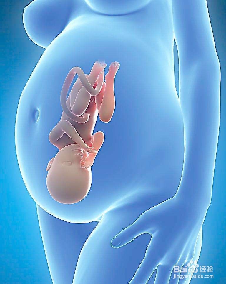 怀孕前补充叶酸有这些问题需要格外注意