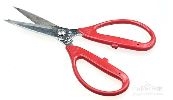 如何快速剥掉生栗子的壳