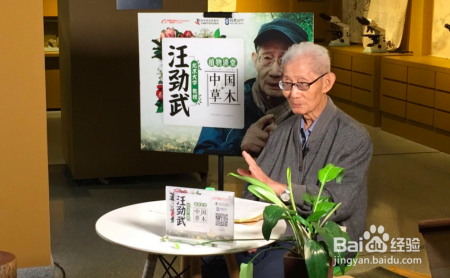 如何在孩子的生日“轰趴”上获得更高关注？快看这份“曝光”指南