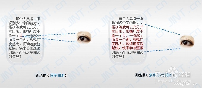 快速阅读训练方法