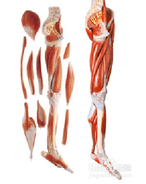 运动跑步的强度如何控制