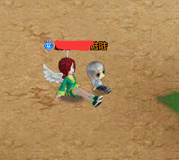 第6大陆如何装扮自己的宠物