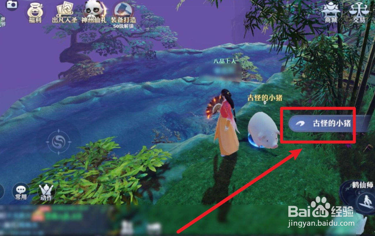 梦幻新诛仙怎么完成“乖巧的小猪”探灵任务？