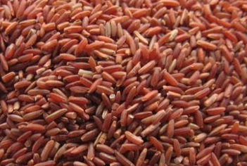 女人最该吃的滋补食物