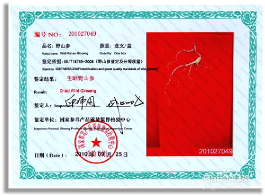 野山参的优劣辨别