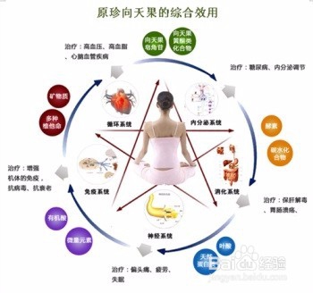 向天果的功效与作用 对人体有什么功效