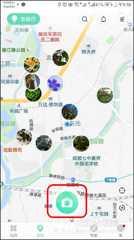 使用识花APP【形色】识别各种植物、花草、果蔬