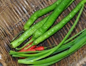 萝卜干炒猪油渣