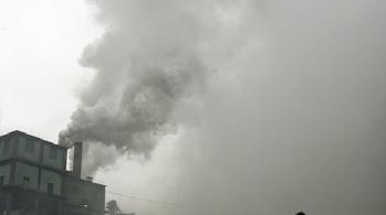 怎样提高我们的免疫系统