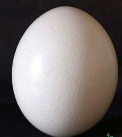 减肥瘦腿小偏方 快速甩肉不反弹