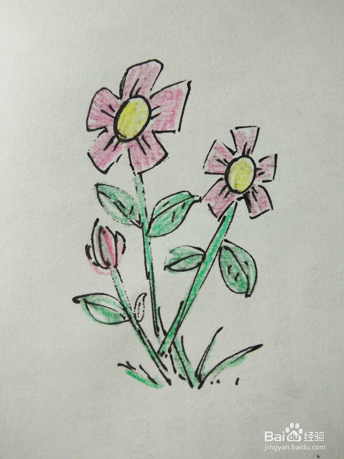 简笔画花朵图片