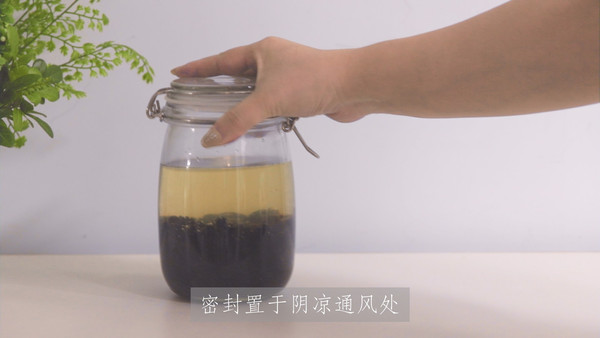 乳酪火龙果软欧包