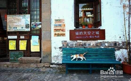 各个城市文艺清新的小店！