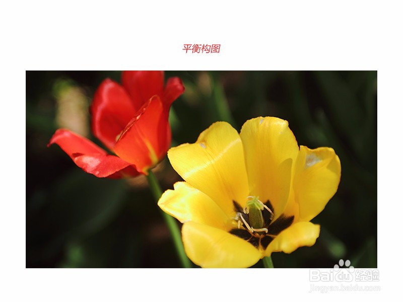 手机拍照怎么拍比较好看，要怎么构图呢？