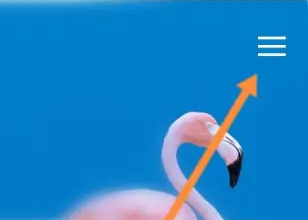 千嬴国际手机版如何登录帐号