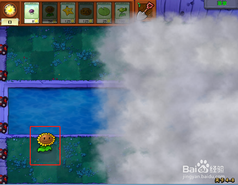 植物大战僵尸无尽版第4-8关怎么过?