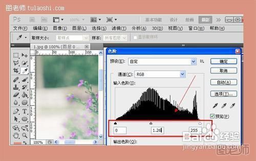 PS外景调色教程PS后期处理花朵调色教程