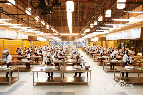 19岁学烹饪去学校还晚吗