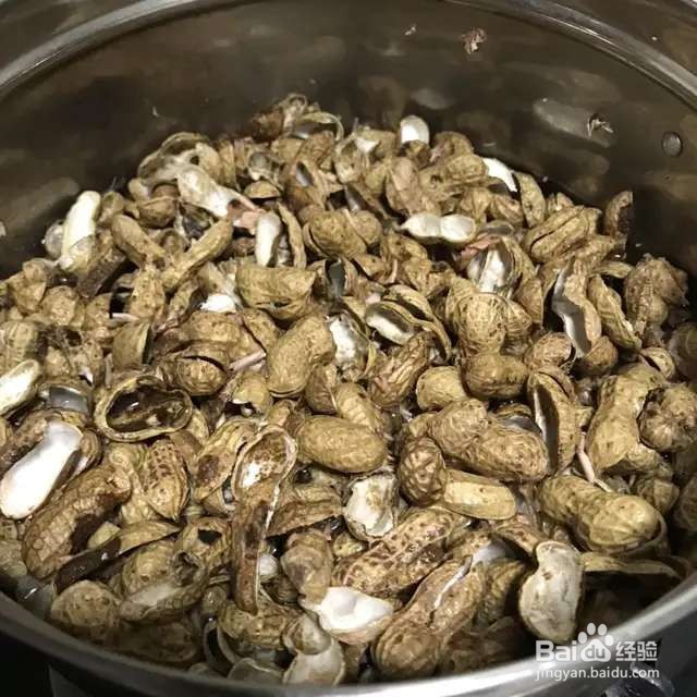 养花先养根,根系壮了,花才长得更好