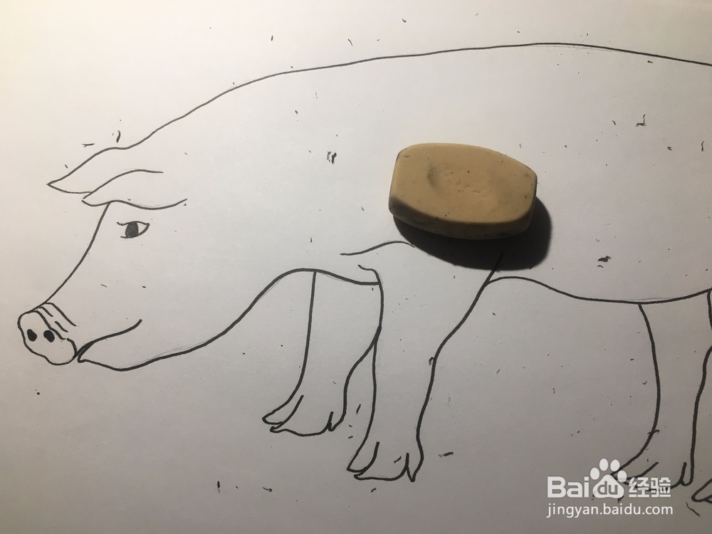 简笔画：猪的画法 幼儿简笔画