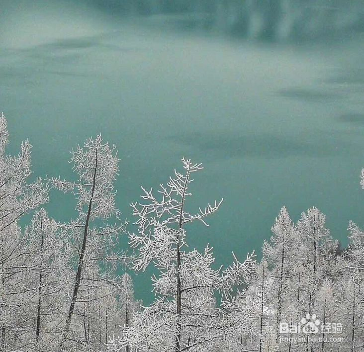 喀纳斯冬季五天旅行指南