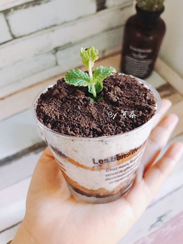 奥利奥酸奶冻芝士蛋糕