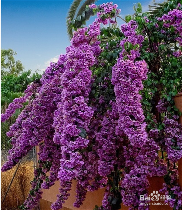 夫妻间如何保鲜?