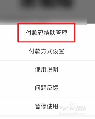 支付宝付款码皮肤怎么更换？