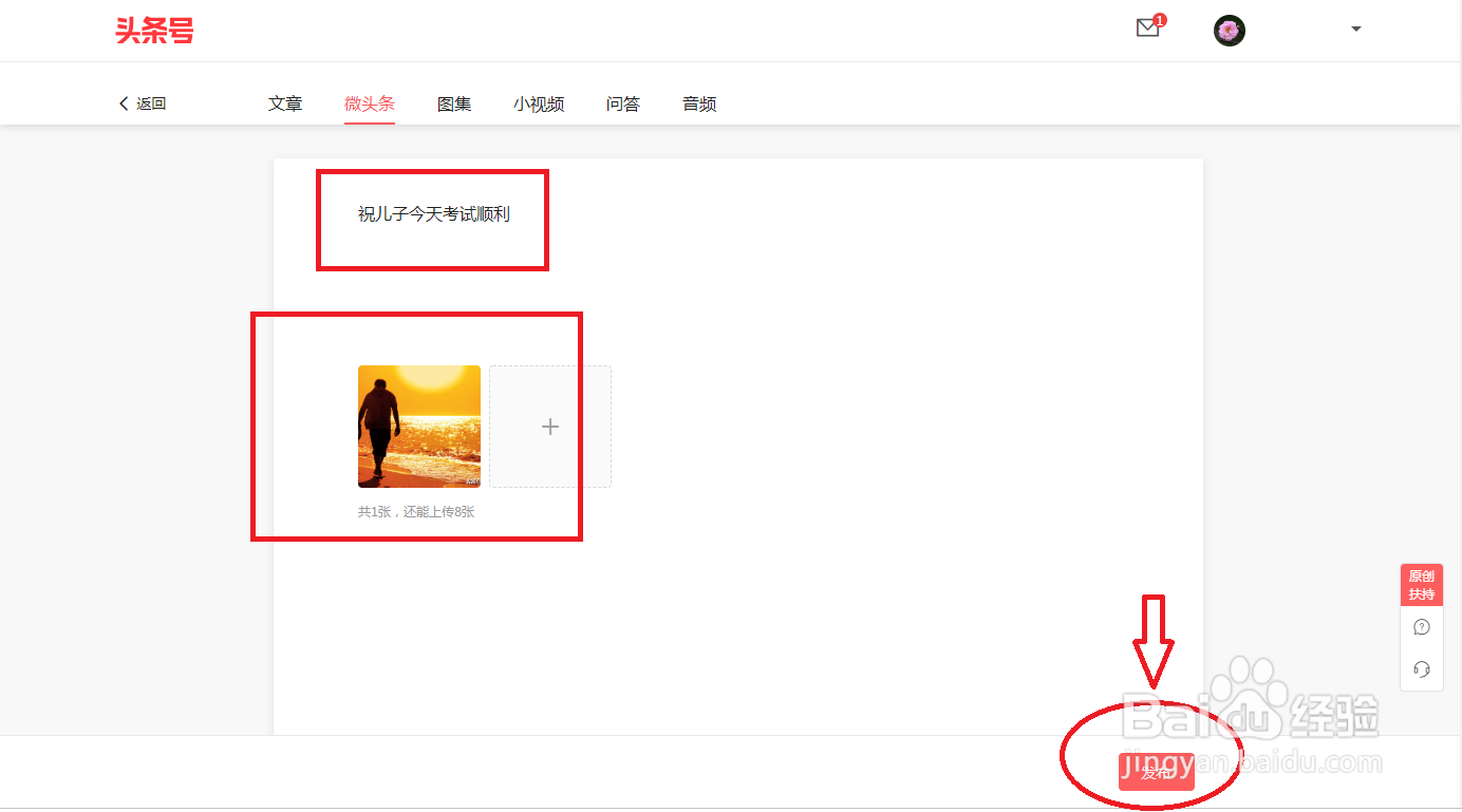 怎么用电脑在头条号上发微头条