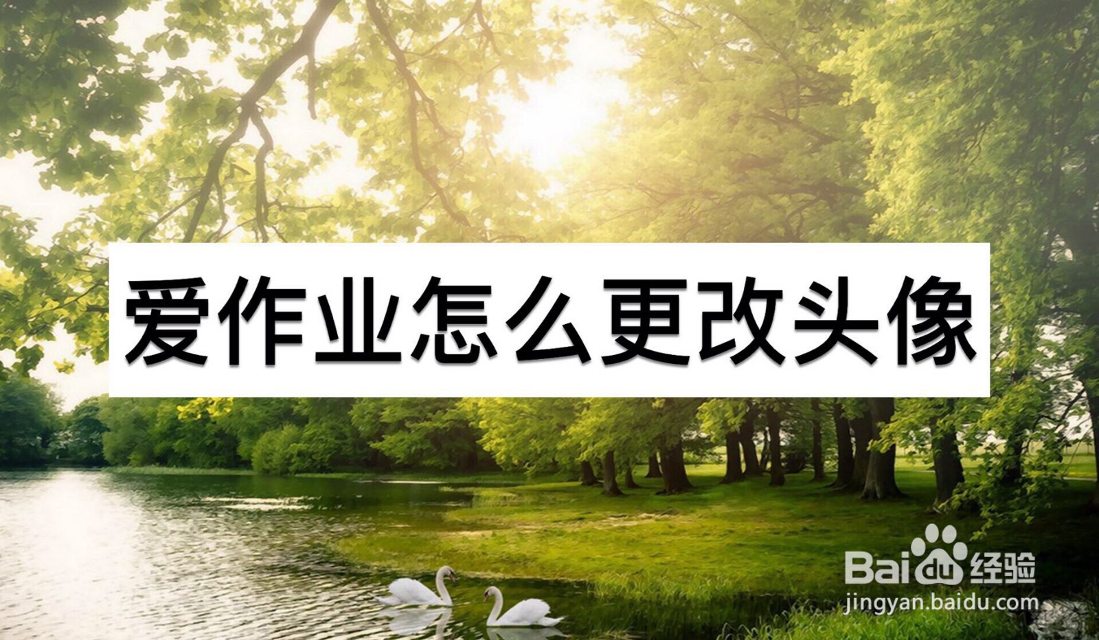 爱作业怎么更改头像