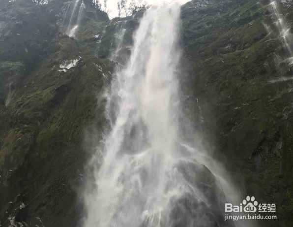 新西兰景点排名？