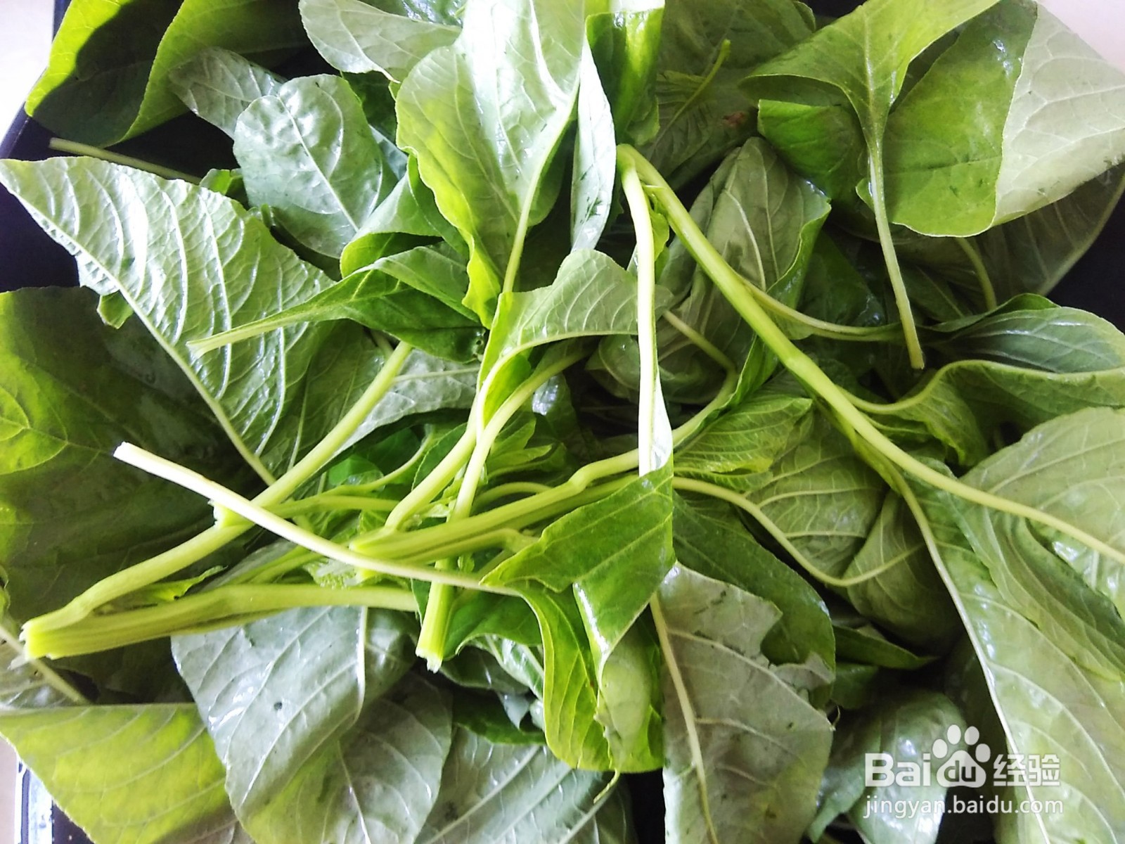 苋菜和瘦肉这样做，超级好吃