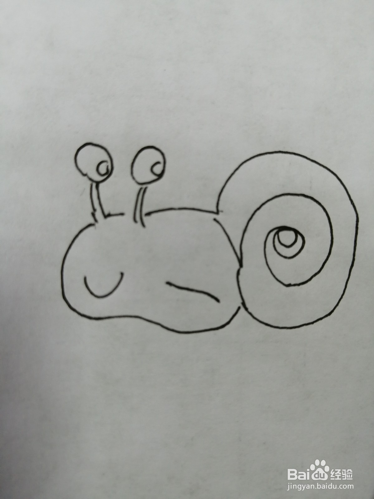 <b>可爱的小蜗牛怎么画</b>
