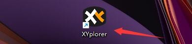 XYplorer如何设置启用无重复历史记录